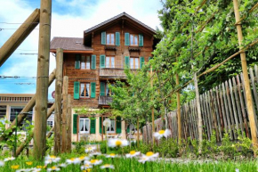 Отель Edelweiss Lodge  Вильдерсвиль